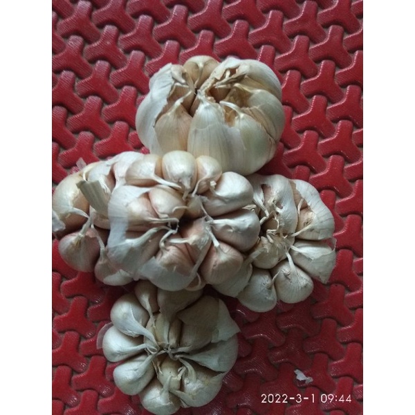 Bawang putih 1kg