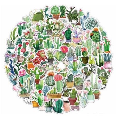 Green Succulent Paper Sticker (10pcs)