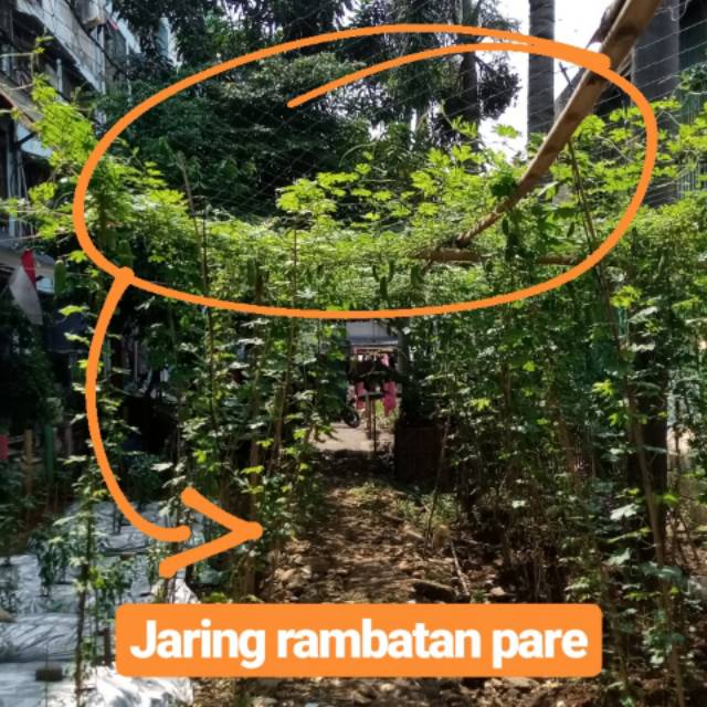 MEDIA TANAM JARING RAMBATAN TANAMAN (SAYUR,BUAH,BUNGA,DLL)