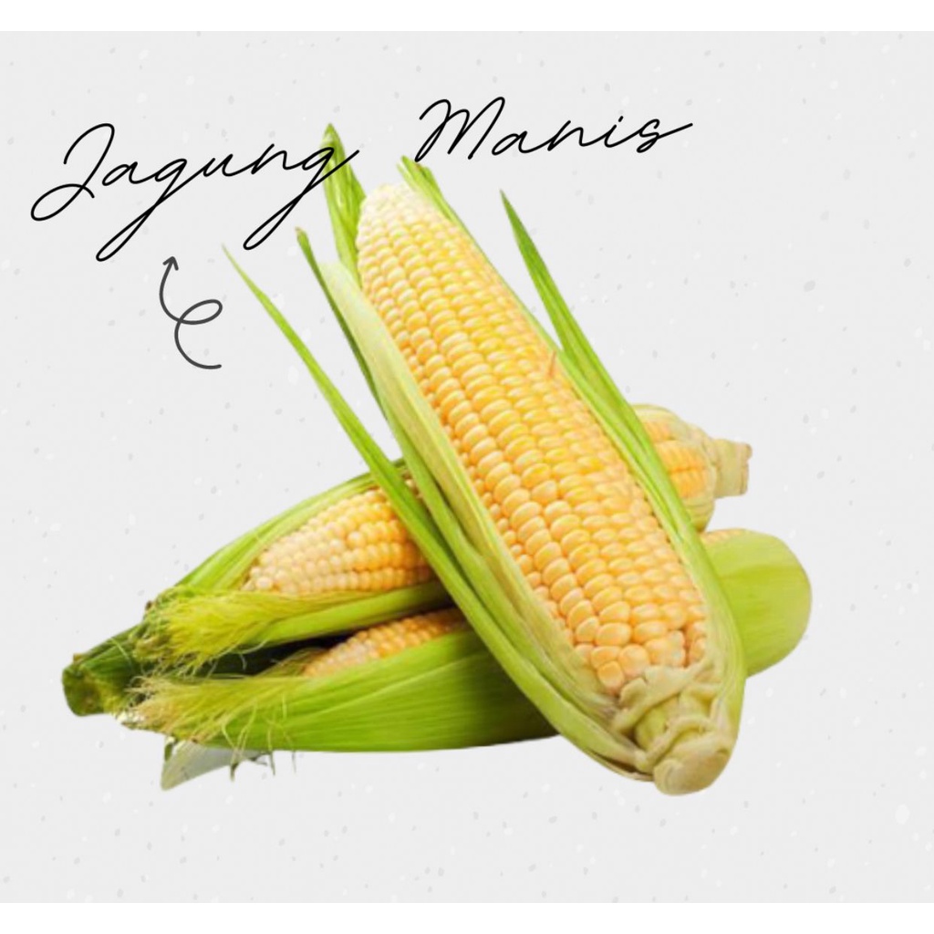 

Jagung Manis 1Kg