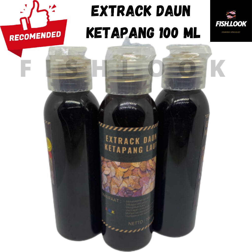 Ekstrak Daun Ketapang 100 ml Hitam Pekat Tanpa Minyak Kualitas Super Extract Extrak