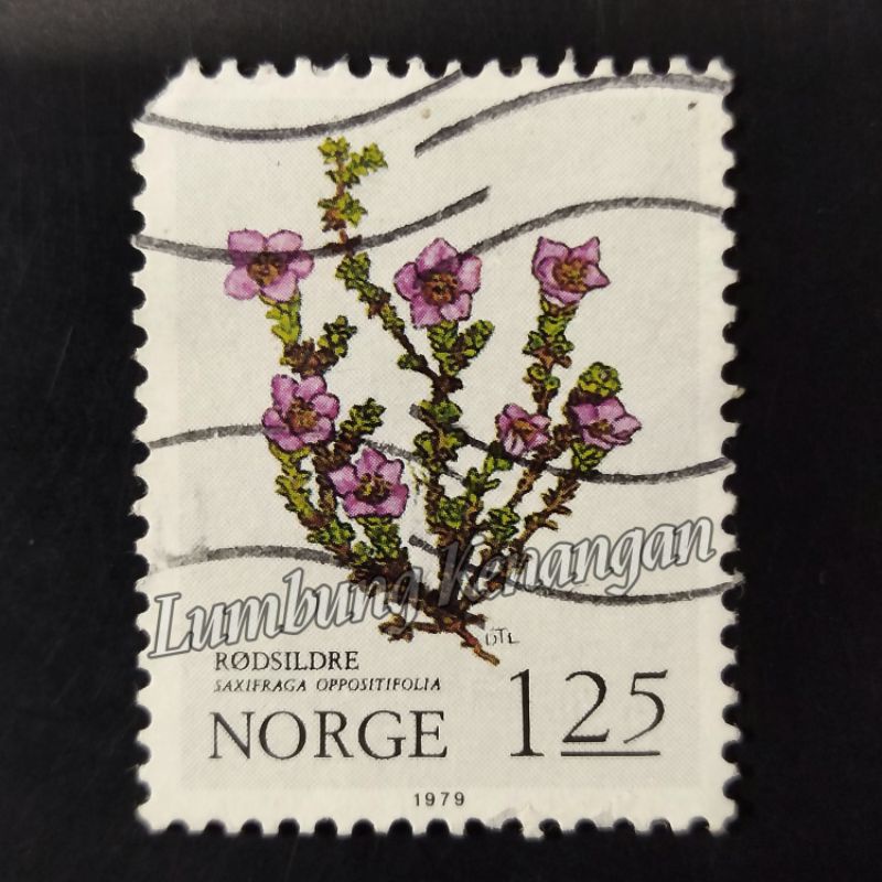 

Perangko Norwegia 1,25 Tahun 1979