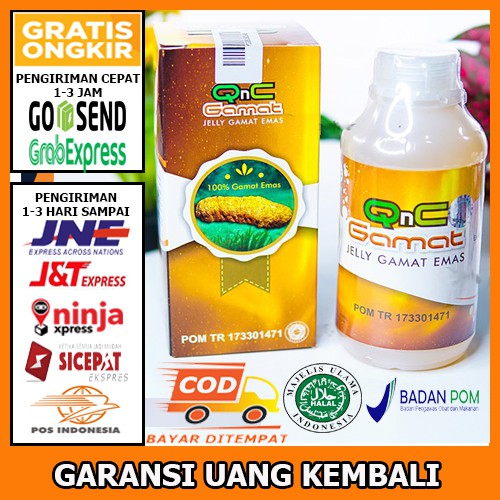 

COD OBAT STROKE RINGAN BERAT ISKEMIK -PENYEMPITAN PEMBULUH DARAH LUMPUH SEBELAH BISA BAYAR DITEMPAT