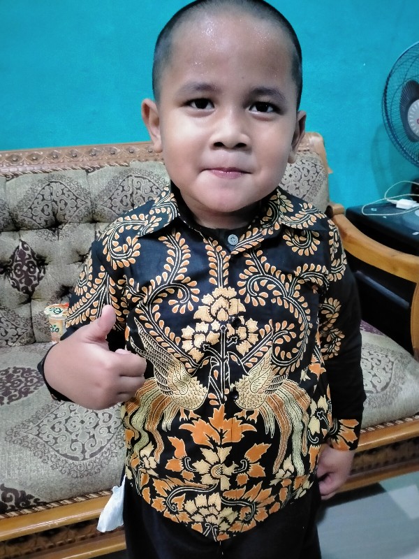 (bisa Cod) Kemeja Batik Anak Cowok//baju Batik Anak Cowok//batik Anak Laki Laki// Kemeja Anak Modern