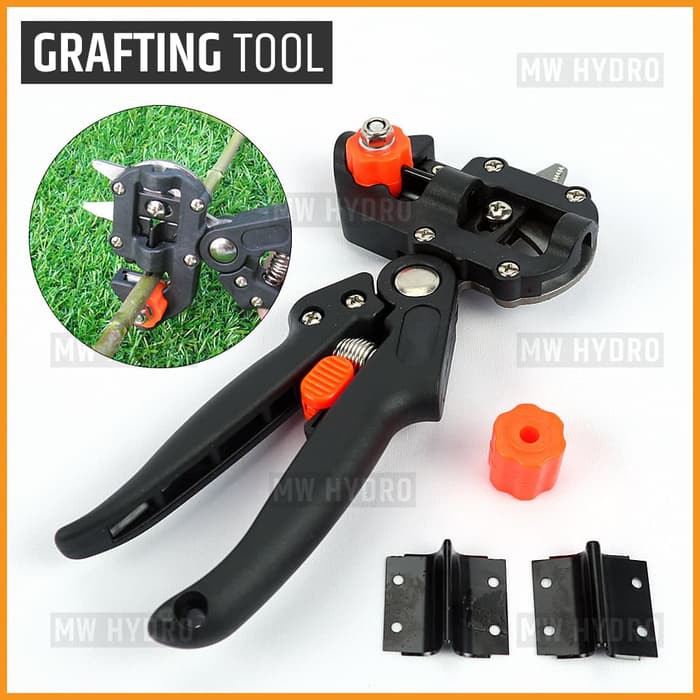 Grafting Tool &amp; Pruning Scissor - Alat Sambung Pucuk - Paperboard