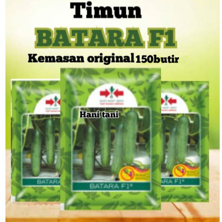 BENIH BIBIT TANAMAN PERTANIAN SAYURAN HIDROPONIK TIMUN
