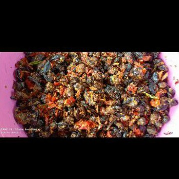 

Krengsengan Bekicot [500 gram]