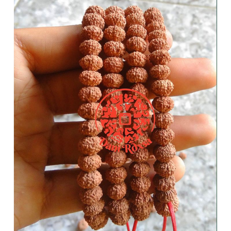 Jenitri Genitri Gelang Mukhi 6-10 PREMIUM