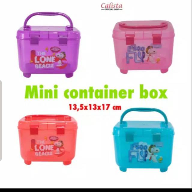 Mini Container Box
