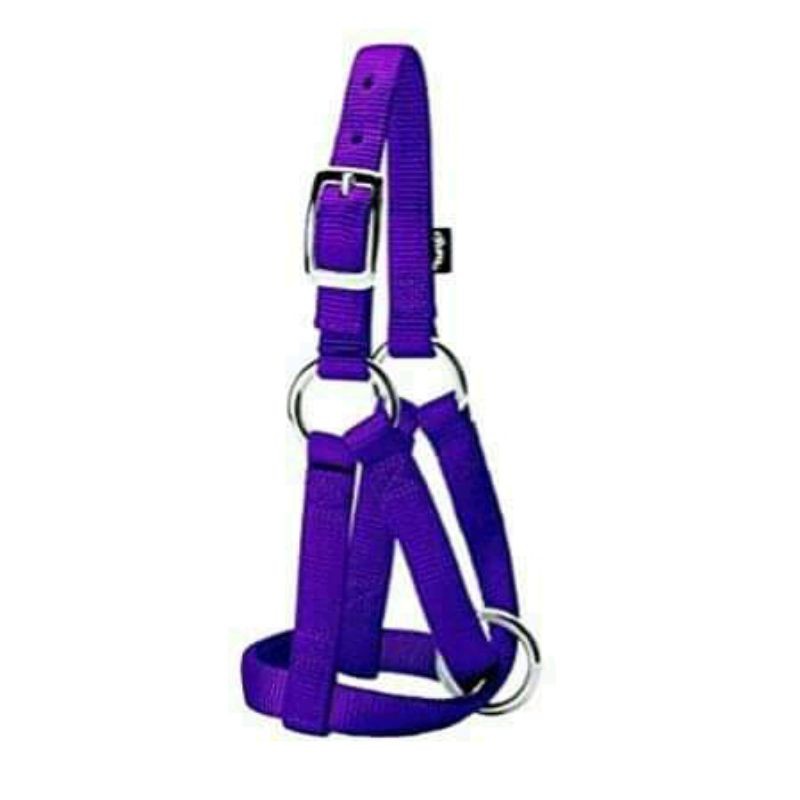 Head Halter/Brangus Kambing Domba