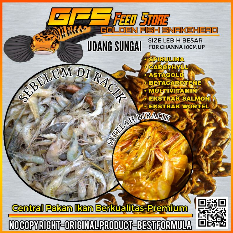 Udang Setan Yellow 30 Gram Pakan Channa Kontes