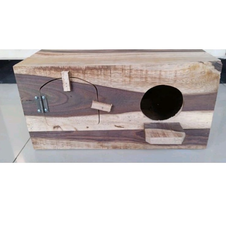 Glodok Falk // Glodok Jalak