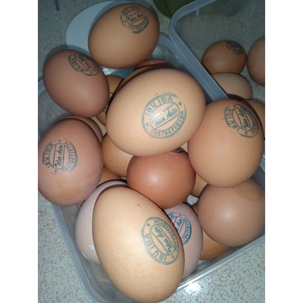 

Telur asin ayam negeri/sudah matang tinggal makan/telur asin IBU IDA 1/2 Kg