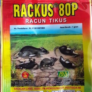 Rackus 80P - Racun Tikus