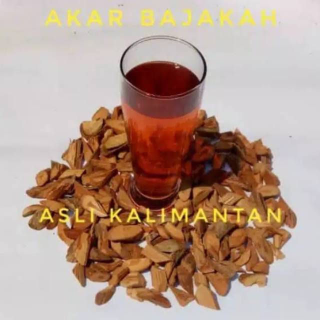 

Akar Kayu Bajakah Asli Kalimantan