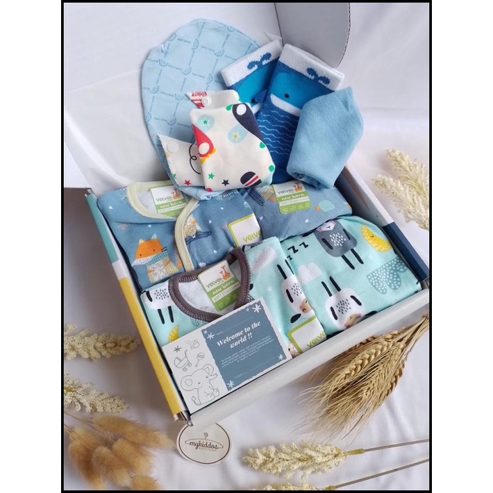 

Paket B Kado Bayi / Hampers Baby Velvet Junior