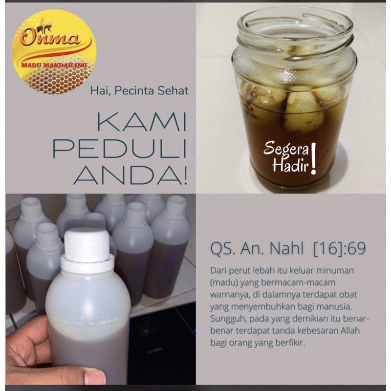 

MADU HUTAN ASLI SUMATRA 620 gr
