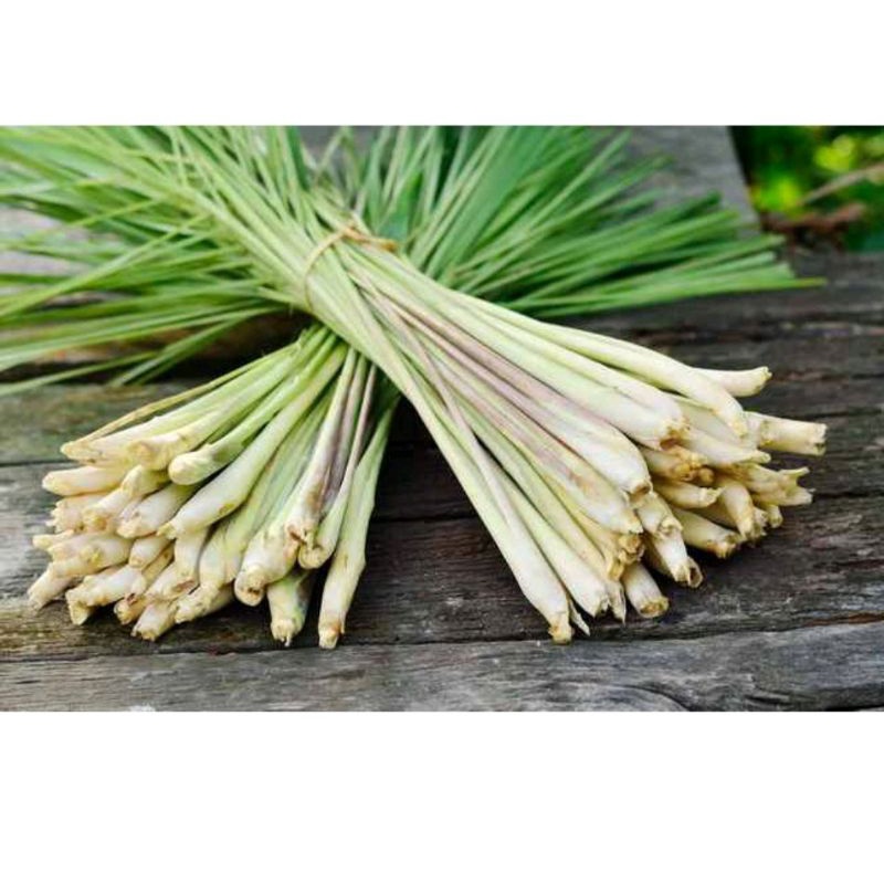 

serai / bumbu dapur 500gram