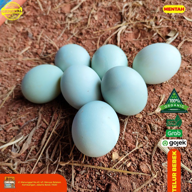 

RB Telur Bebek Mentah 15 Butir