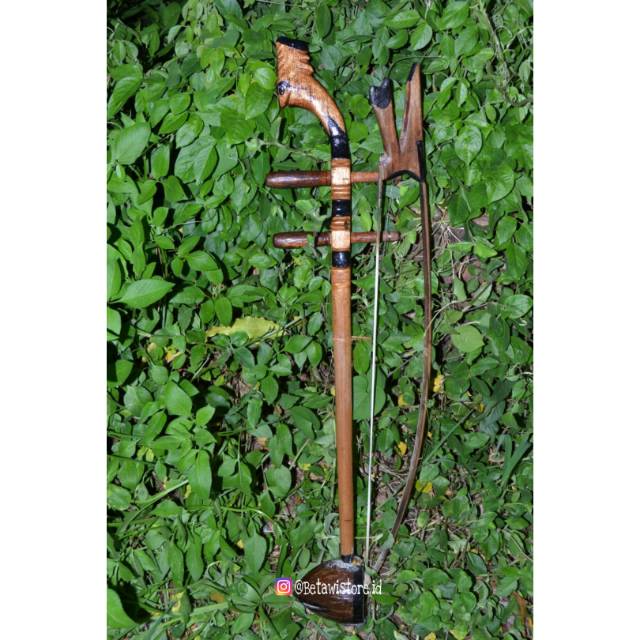 Tehyan alat musik tradisional