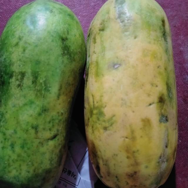 

PEPAYA/PAPAYA