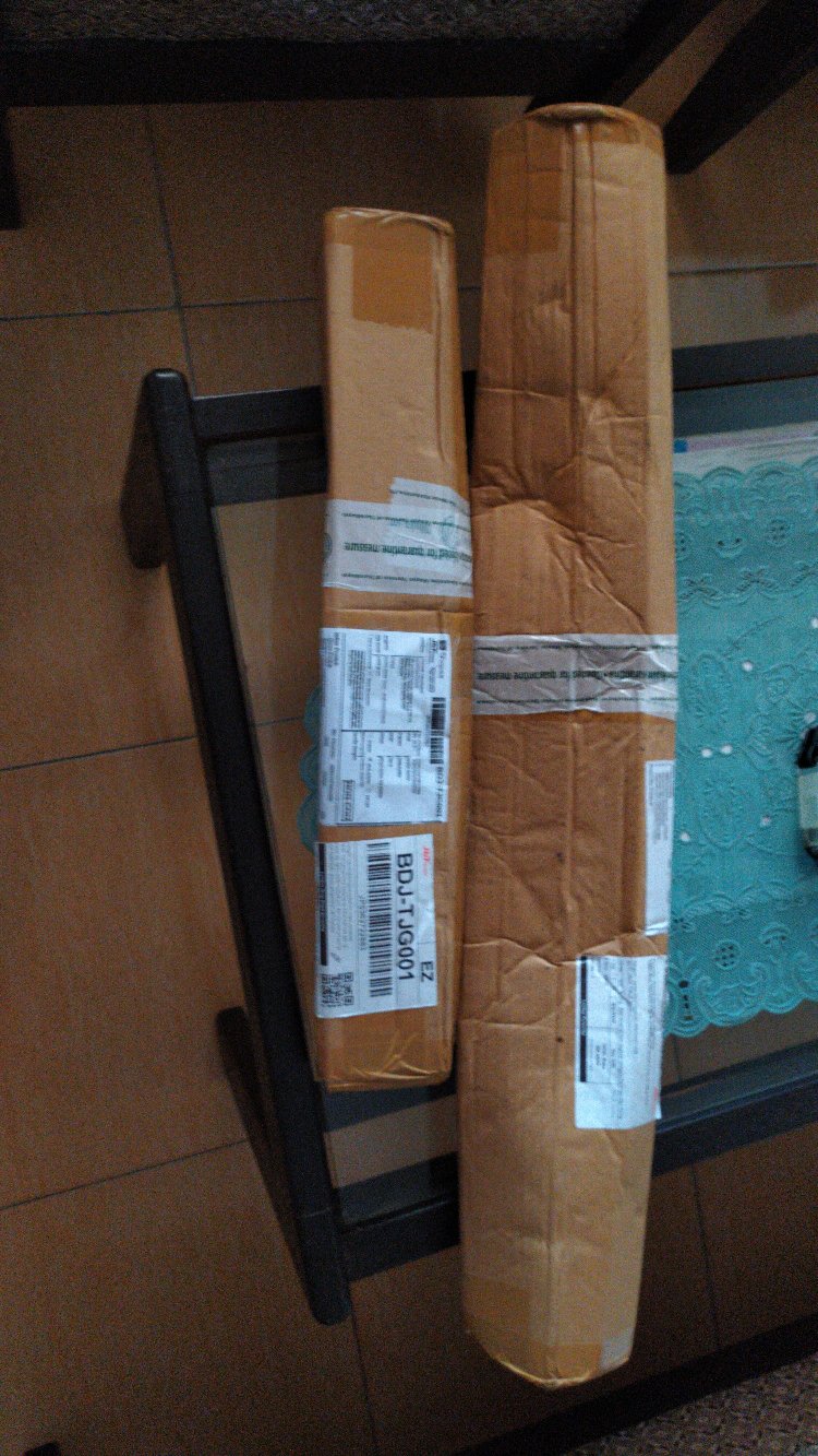 Tanaman Hias Daun Calathea Peacock