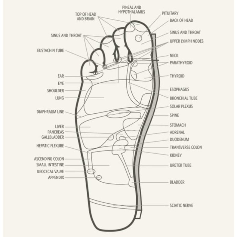 Kutus Kutus Organic Herbal Healing Oil 100ml