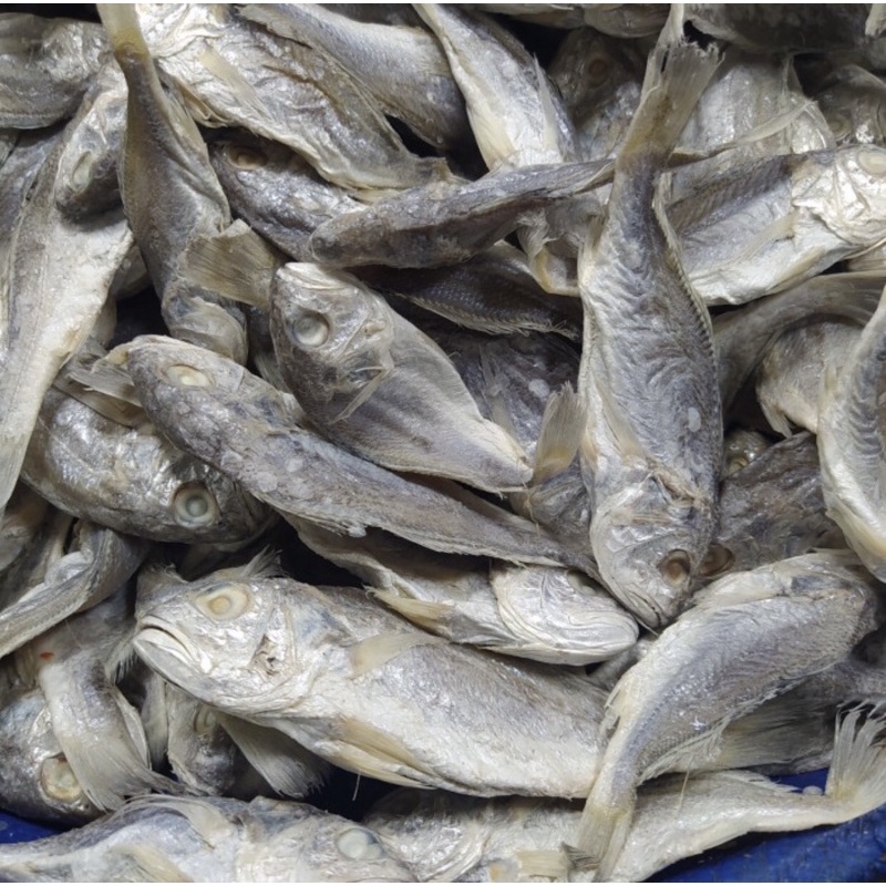 

Ikan Gulama Pisang