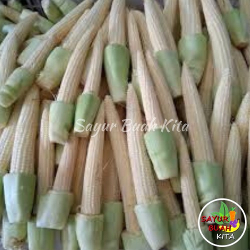 

Jagung Muda / Putren Segar Per 250gr