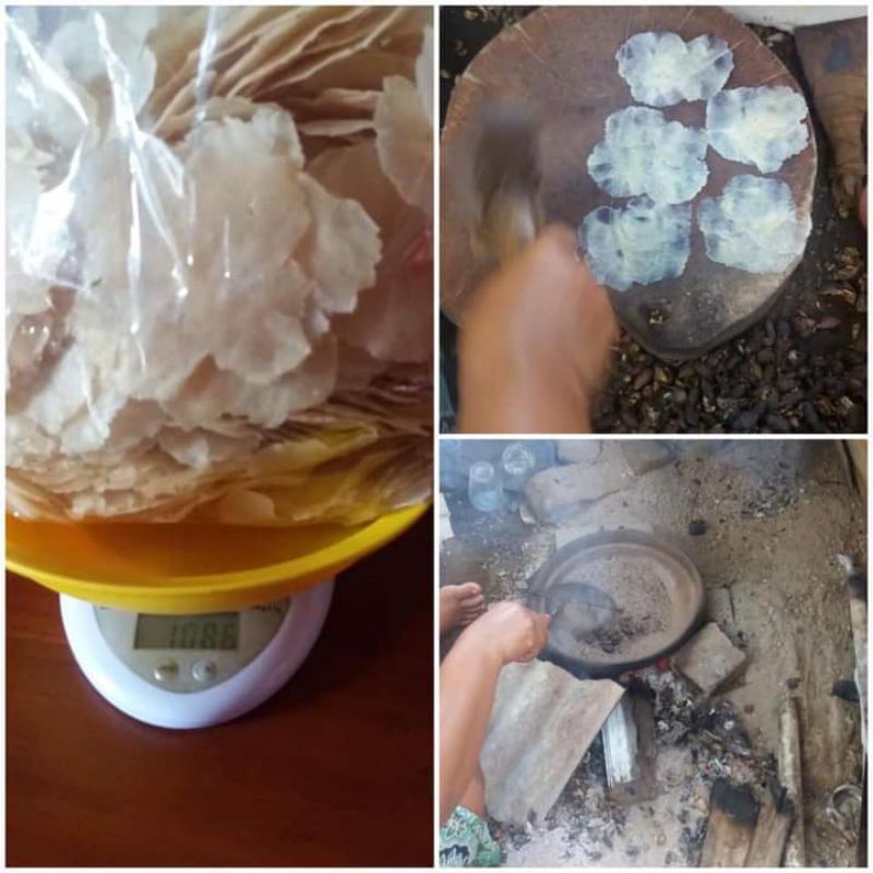 

emping melinjo asli
