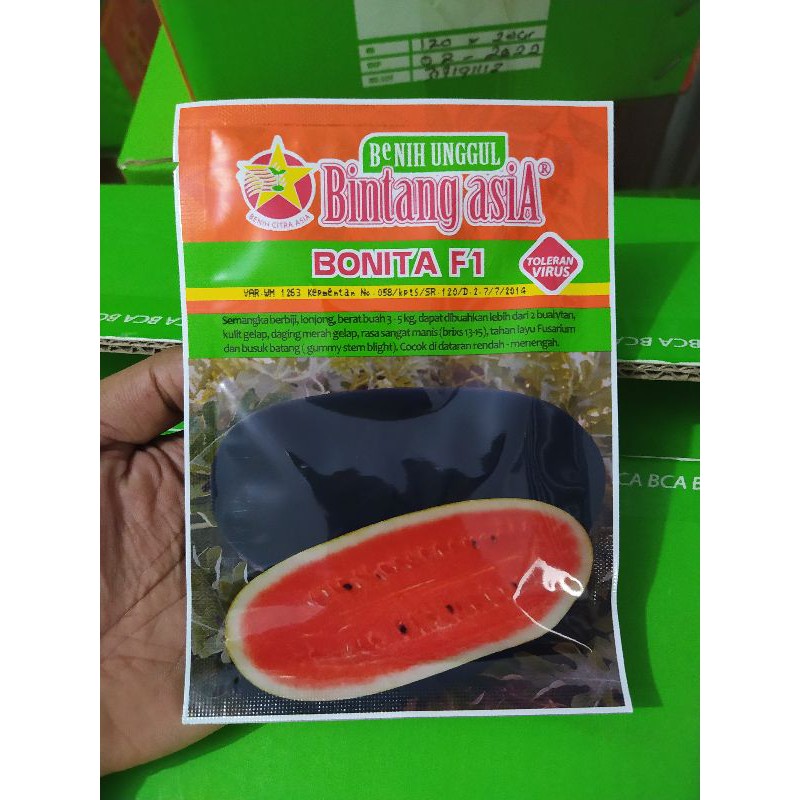 Bonita F1 20gr ( Benih Semangka Lonjong) Bintang Asia