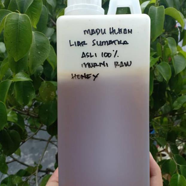 

( BISA COD ) madu hutan liar sumatra/forest raw honey 1kg OBRAL [Kode 1|Kode 2|Kode 3|Kode 4|Kode