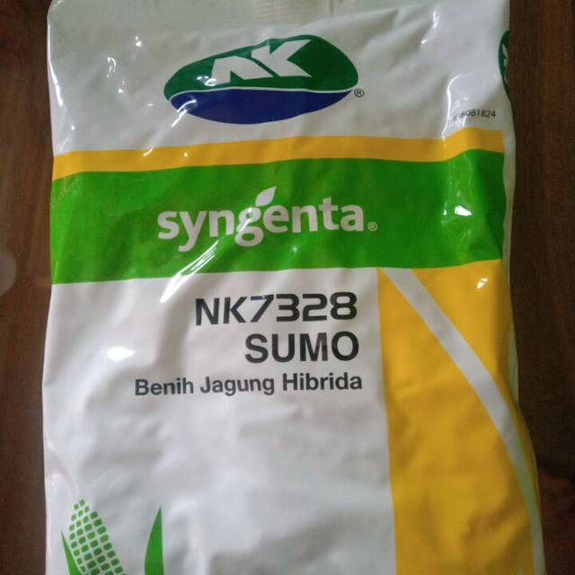 Benih jagung hibrida NK7328 Sumo expired 22-8-2023