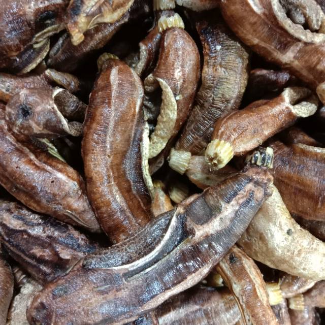 

Tripang khas surabaya 250g.