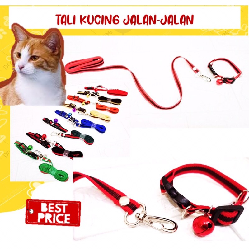 Tali Kucing Anjing Kecil Kelinci Pet harness Tali Leher Kucing Tali Jalan jalan kucing anjing kecil 