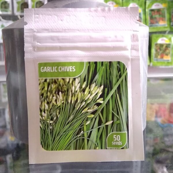 Benih Bibit Garlic Chives 50 Biji Tanaman Bawang Kucai Daun Sayuran