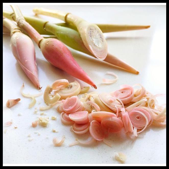

Terpopuler Bunga / Tunas Kecombrang / Kincung ( Sambal Enak ) Per Buah Sayur Segar Pasar Murah