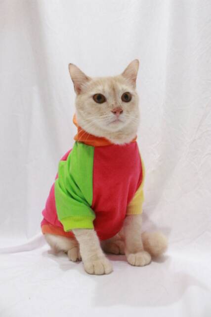 Kaos Jumper hoodie joker 1 untuk kucing dan anjing size S-XL / baju kucing terlaris 2019