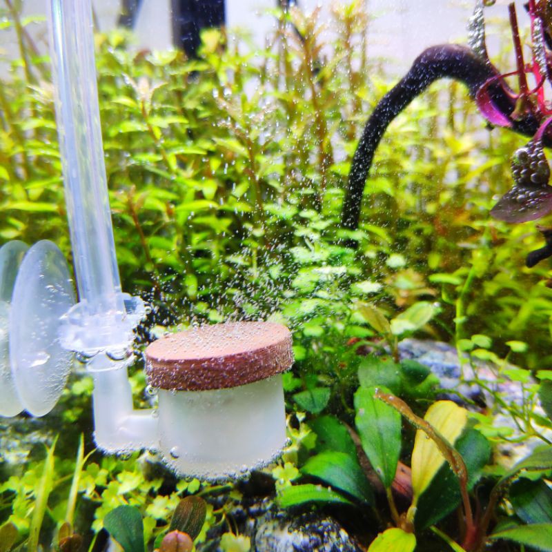 Diffuser co2 DIY aquascape