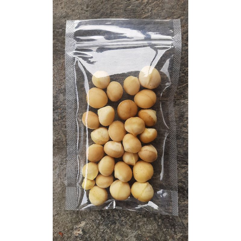 

Kacang Macadamia 100gram Kupas Macadamia nuts