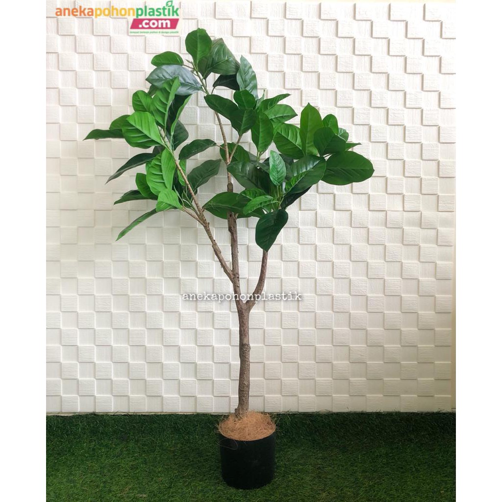 Pohon Artificial Daun Magnolia T120 Latex Dekorasi Kamar Aesthetic