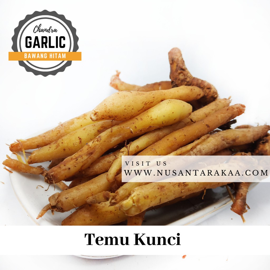 Terlaris Temu kunci 1 kg