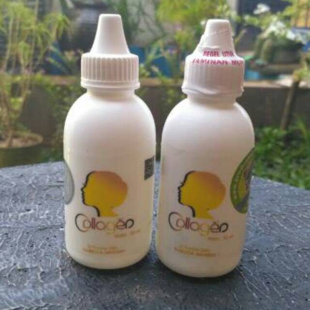 Bibit pemutih Collagen Cair Cv.  Mecca