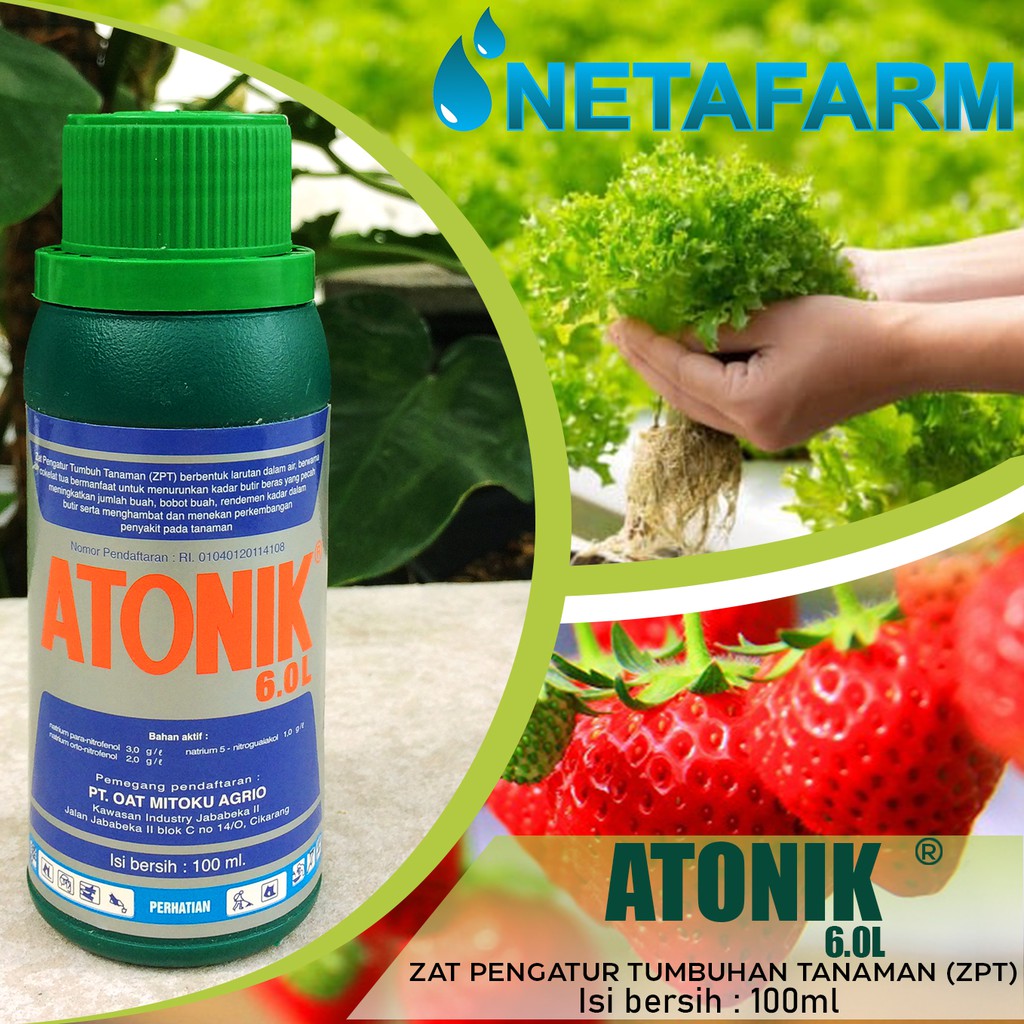 ATONIK 6.0 L Zat Pengatur Tumbuh Tanaman / ZPT ( 100ml )