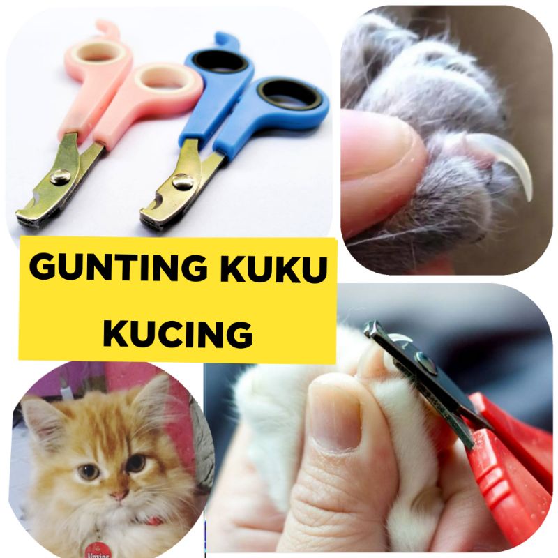 GUNTING KUKU Kucing