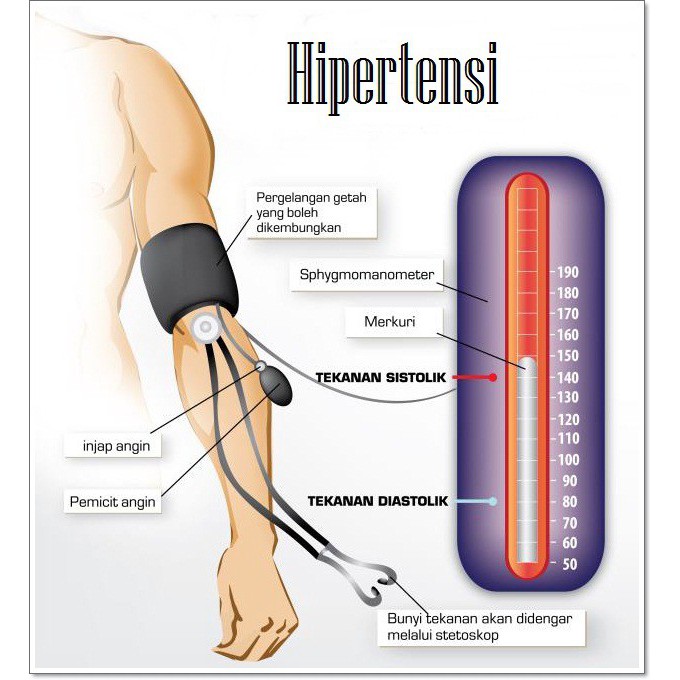 Alat Tensi Tekanan Darah Digital | Tensimeter Digital | Detak Jantung Digital Blood Pressure Monitor