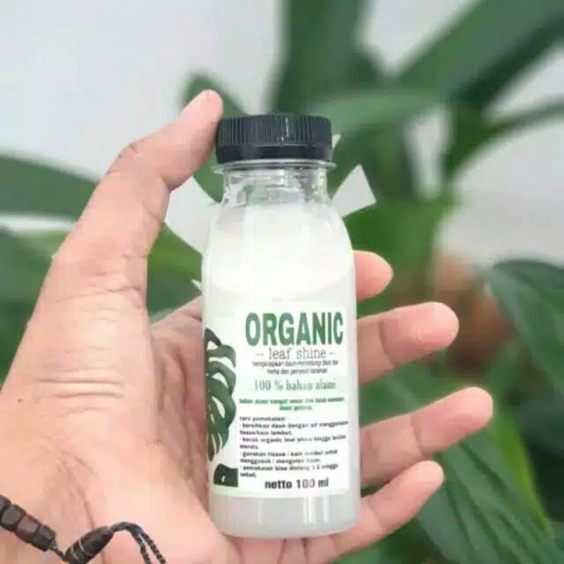 kilap daun / pengkilap daun / glowing daun