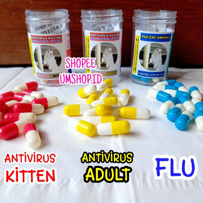 Paket P3K Kucing Flu Dan Antivirus Cat Pilek Vitamin Imun Kesehatan