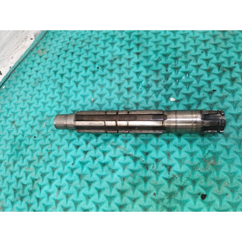 As gir Tiger ORI copotan