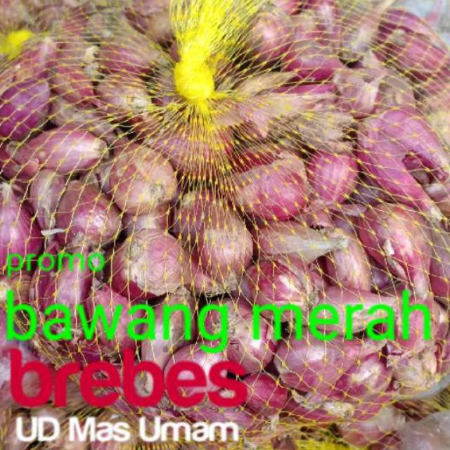 

Promo bawang merah brebes 1 kg